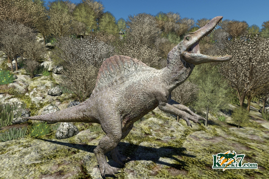 白亜紀に生息、スピノサウルス(Spinosaurus)