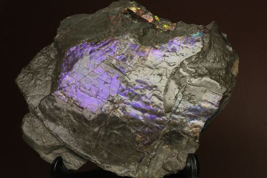 希少色！紫色に光るアンモライト片(Ammolite)（その13）