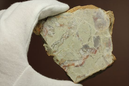 恐竜のウンチ化石コプロライト(Coprolite)（その7）