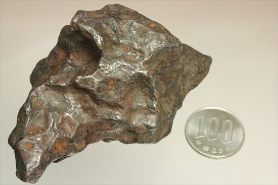 魅惑的な形状の鉄隕石　500ｇオーバーのカンポ・デル・シエロ　CAMPO DEL CIELO（その12）