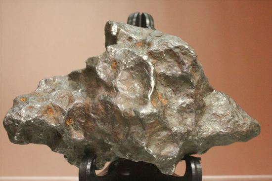 魅惑的な形状の鉄隕石　500ｇオーバーのカンポ・デル・シエロ　CAMPO DEL CIELO（その7）