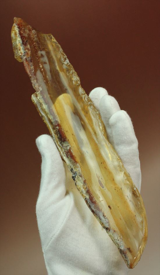 マダガスカル産、あなたの足よりデカいかも!?巨大な虫色コーパル(その11)