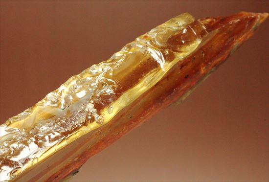 マダガスカル産、あなたの足よりデカいかも!?巨大な虫色コーパル(その14)