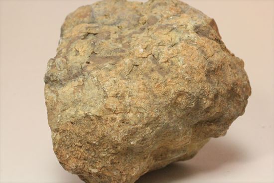 もりもり恐竜のウンチ化石（coprolite）（その9）
