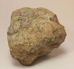 もりもり恐竜のウンチ化石（coprolite）