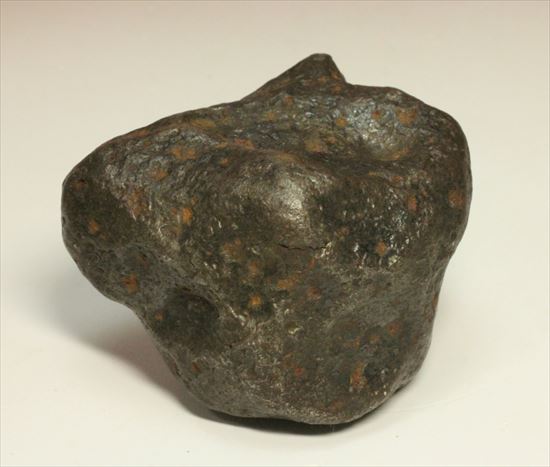 鉄隕石を代表するアルゼンチンに落ちた隕石カンポ・デル・シエロ(Campo del Cielo Meteorite)（その12）