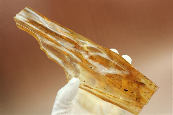マンモスサイズ(24cmで200gオーバー)虫入り巨大コーパル標本(Copal)(その12)