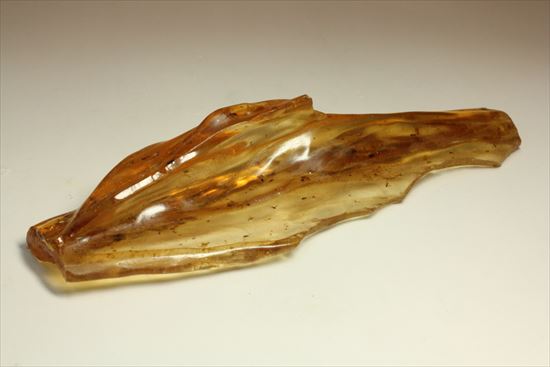 マンモスサイズ(24cmで200gオーバー)虫入り巨大コーパル標本(Copal)(その17)