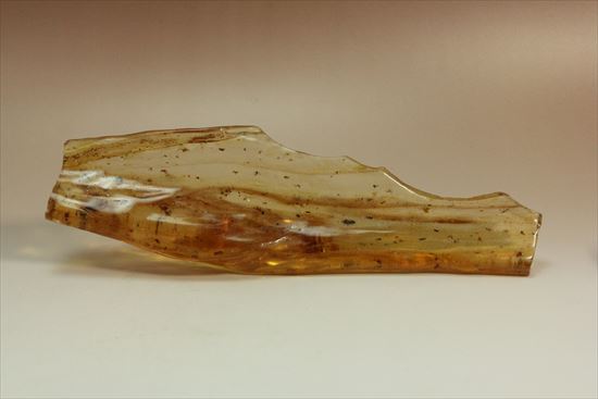 マンモスサイズ(24cmで200gオーバー)虫入り巨大コーパル標本(Copal)(その18)