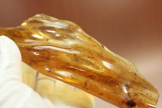 マンモスサイズ(24cmで200gオーバー)虫入り巨大コーパル標本(Copal)(その2)