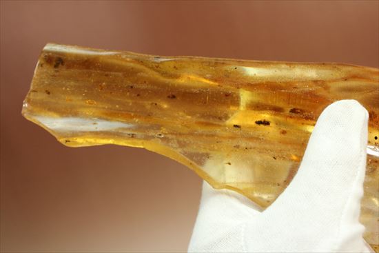 マンモスサイズ(24cmで200gオーバー)虫入り巨大コーパル標本(Copal)(その3)