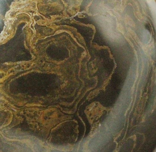 地球に酸素を生み出した、地球のミニチュアことストロマトライト(その4)