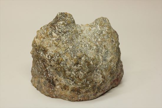 超個性的なペーパーウェイトに！！草食恐竜のウンチ化石コプロライト（coprolite）（その3）