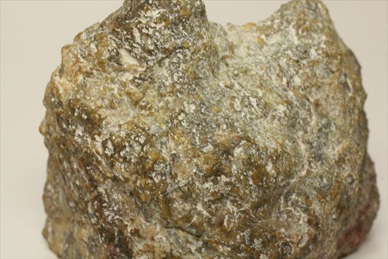 超個性的なペーパーウェイトに！！草食恐竜のウンチ化石コプロライト（coprolite）（その4）