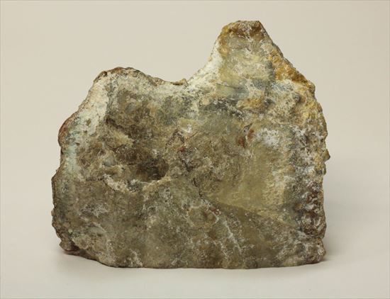 超個性的なペーパーウェイトに！！草食恐竜のウンチ化石コプロライト（coprolite）（その6）