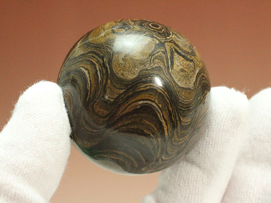 ストロマトライト( stromatolite)