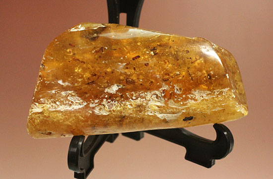 手のひらサイズの立派な虫満載の琥珀(Amber)（その2）