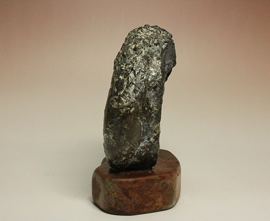 縫合線が模様ではなく”立体”で観察できる!北海道産アンモナイト(Ammonite)(その5)