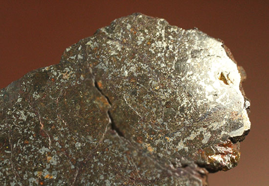 天体同士の衝突によって生まれた最も有名なメソシデライトの一つ「ヴァカ・ムエルタ隕石(Vaca Muerta) 」（その11）