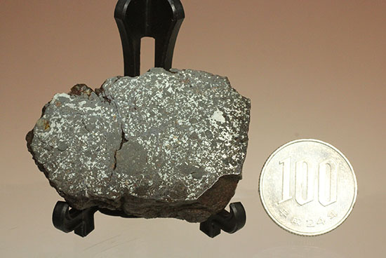 最も有名なメソシデライトの一つ「ヴァカ・ムエルタ隕石(Vaca Muerta) 」