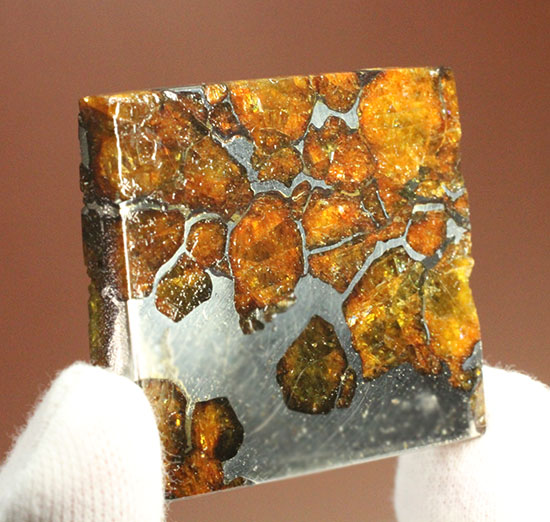 最も希少な石鉄隕石の一つ、隕石イミラック（チリアタカマ砂漠隕石）