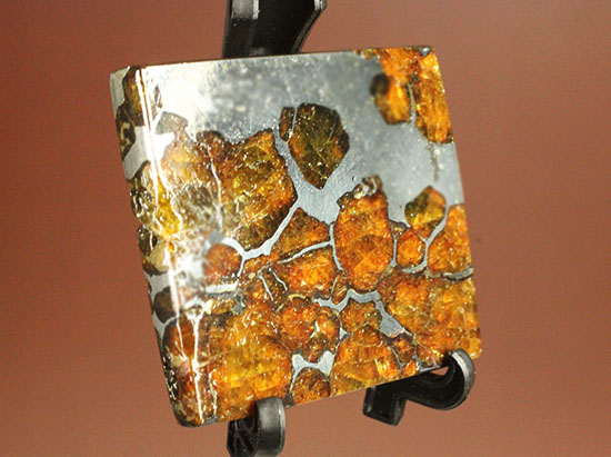 一度見たら心を奪われる、最も希少な石鉄隕石の一つ、隕石イミラック（チリアタカマ砂漠隕石）