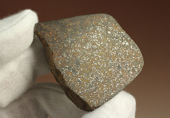 インパクト大！高金属型コンドライト、プレインビュー隕石（その3）