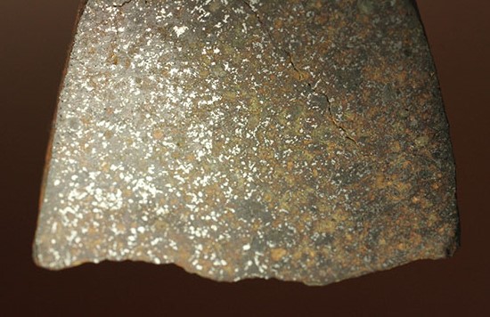 インパクト大！高金属型コンドライト、プレインビュー隕石（その5）