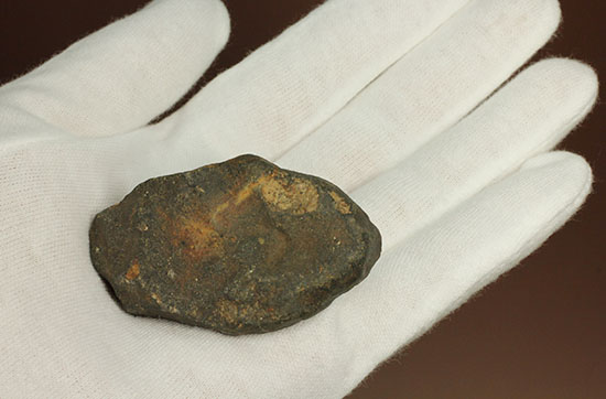 オーストラリアに1879年に落下した石質隕石（コンドライトL6）（その11）