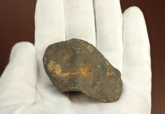 オーストラリアに1879年に落下した石質隕石（コンドライトL6）