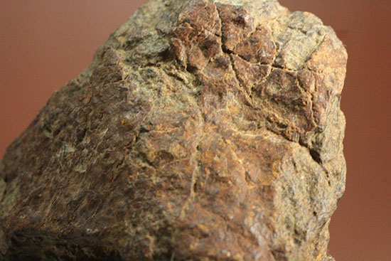 ミルズ石質隕石。高金属型コンドライト（Ｈ６）（その1）