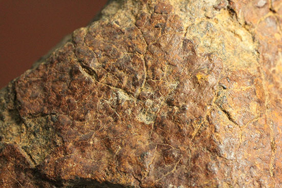 ミルズ石質隕石。高金属型コンドライト（Ｈ６）（その2）