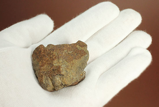 ミルズ石質隕石。高金属型コンドライト（Ｈ６）（その3）