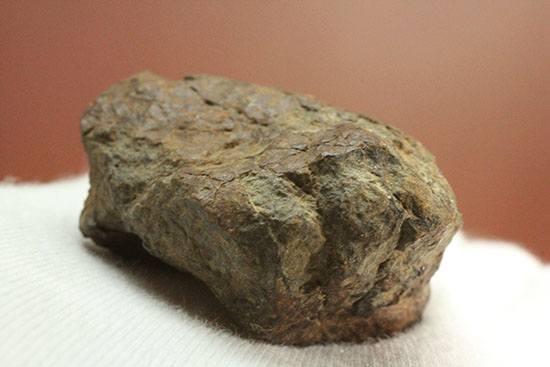 ミルズ石質隕石。高金属型コンドライト（Ｈ６）（その5）