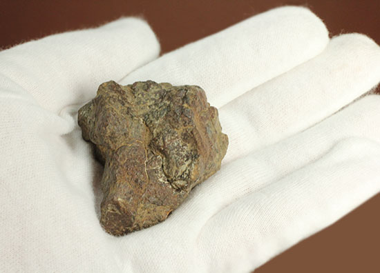 ミルズ石質隕石。高金属型コンドライト（Ｈ６）（その6）