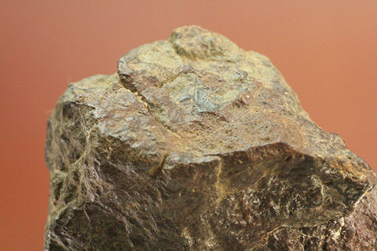 ミルズ石質隕石。高金属型コンドライト（Ｈ６）（その8）