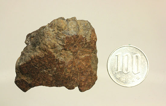ミルズ石質隕石。高金属型コンドライト（Ｈ６）（その9）
