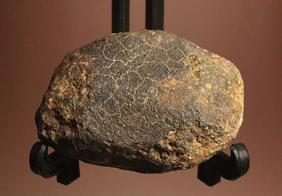 宇宙化学のロゼッタストーン！太陽系形成の謎を知るアエンデ隕石（その1）