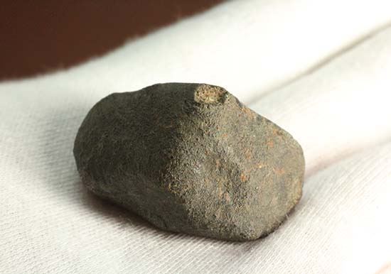 1978年12月にメキシコに落下したヌエヴォ・メルキュリオ隕石（溶融表皮の状態抜群）