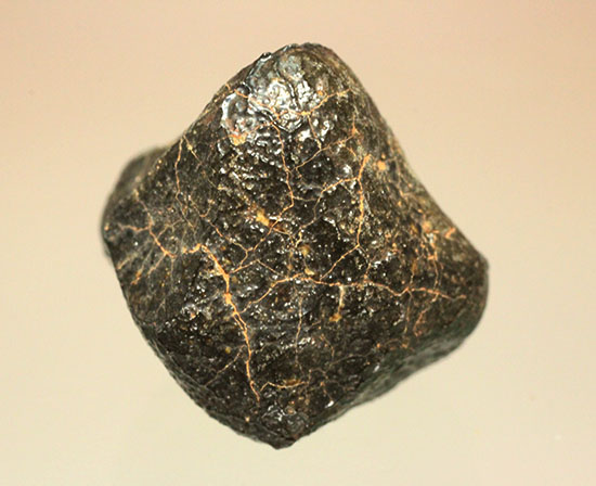 どこかの星の地殻に起源があるとされるユークライト。良質の溶融表皮を備えたキャメルドゥンガ（Camel Donga）隕石（その1）