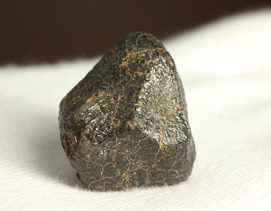 どこかの星の地殻に起源があるとされるユークライト。良質の溶融表皮を備えたキャメルドゥンガ（Camel Donga）隕石（その11）