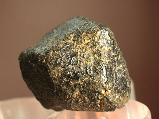 どこかの星の地殻に起源があるとされるユークライト。良質の溶融表皮を備えたキャメルドゥンガ（Camel Donga）隕石（その12）