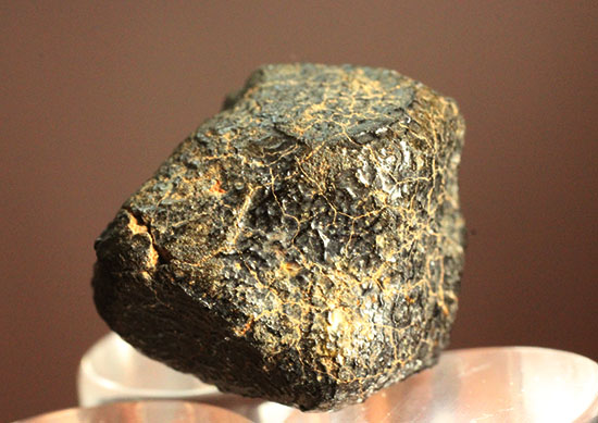 どこかの星の地殻に起源があるとされるユークライト。良質の溶融表皮を備えたキャメルドゥンガ（Camel Donga）隕石（その13）