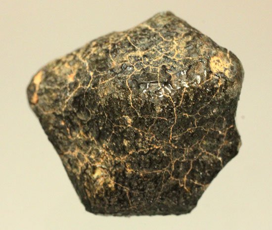 どこかの星の地殻に起源があるとされるユークライト。良質の溶融表皮を備えたキャメルドゥンガ（Camel Donga）隕石（その14）
