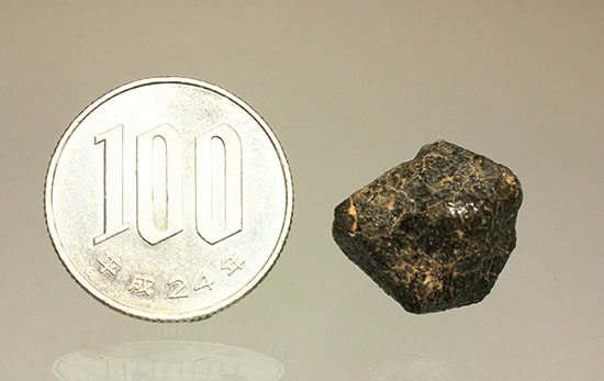 良質の溶融表皮を備えたキャメルドゥンガ（Camel Donga）隕石