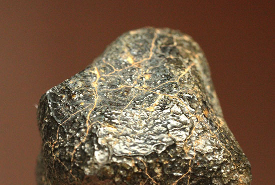 どこかの星の地殻に起源があるとされるユークライト。良質の溶融表皮を備えたキャメルドゥンガ（Camel Donga）隕石（その3）