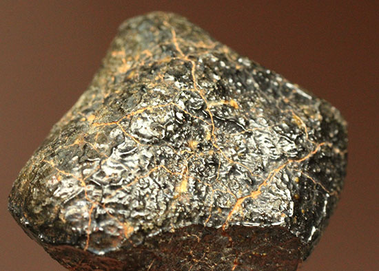 どこかの星の地殻に起源があるとされるユークライト。良質の溶融表皮を備えたキャメルドゥンガ（Camel Donga）隕石（その4）