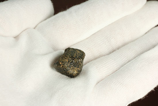どこかの星の地殻に起源があるとされるユークライト。良質の溶融表皮を備えたキャメルドゥンガ（Camel Donga）隕石（その8）