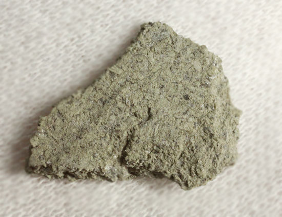 火星に起源を持つとされる隕石Zagami（ザガミ）（その4）