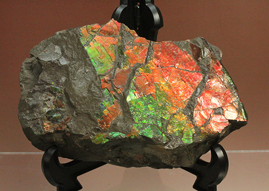 1.4kg！朱色から緑、青まで。発色が良いアンモライトピース（Ammolite）